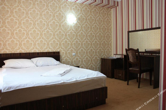 Vatra酒店住宿-Europa Hotel