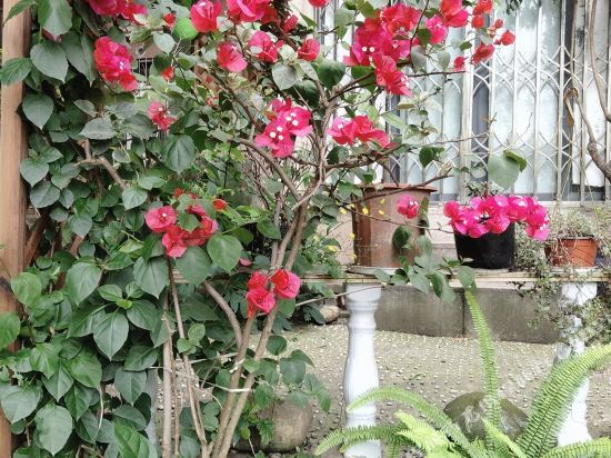 宜宾代先生/青年城幽雅风情屋公寓(2号店)