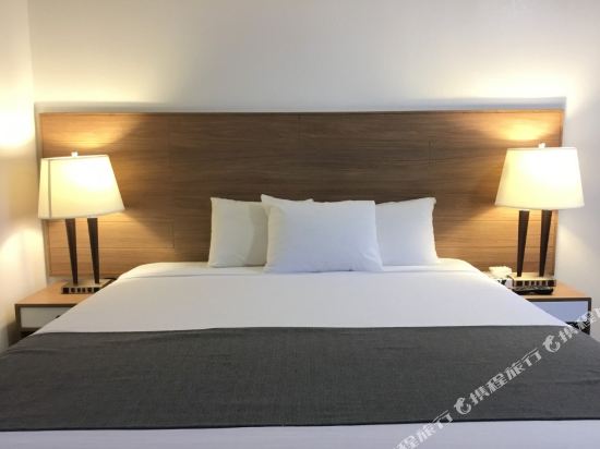 San Diego Downtown Lodge Room Type - Queen Room