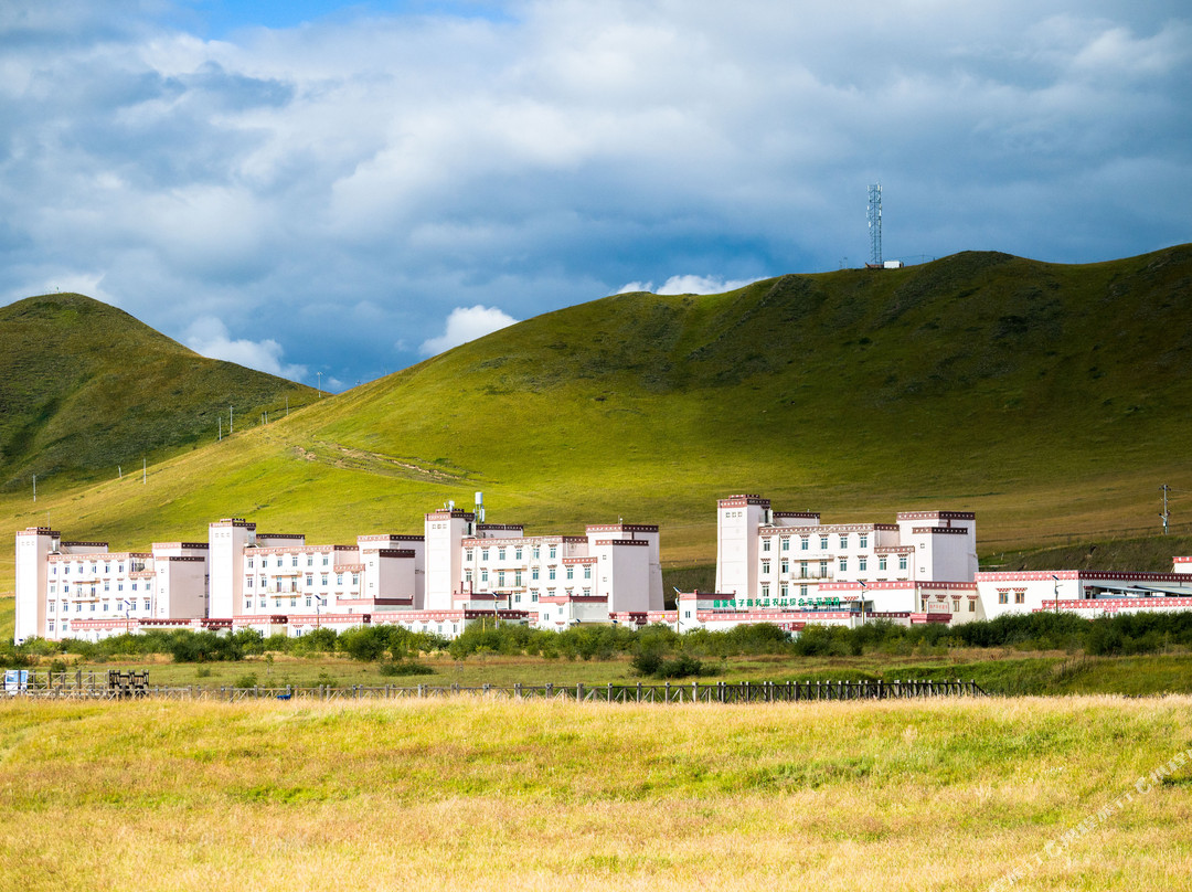 黄河第一湾大酒店