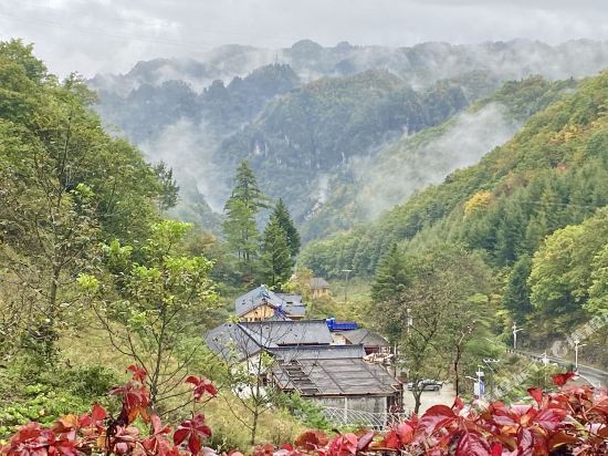 神农架百草院子