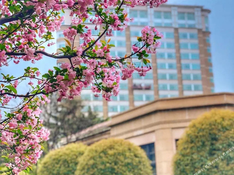 上海兴国宾馆丽笙精选主图