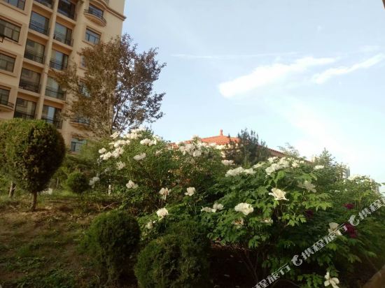 庆阳太一家庭公寓