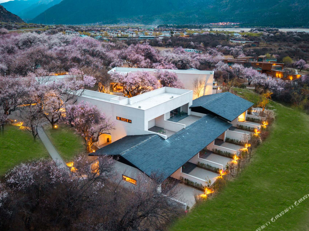 山泽居野奢桃林庭院度假民宿