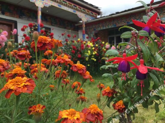 林芝阿佳其美藏式宾馆