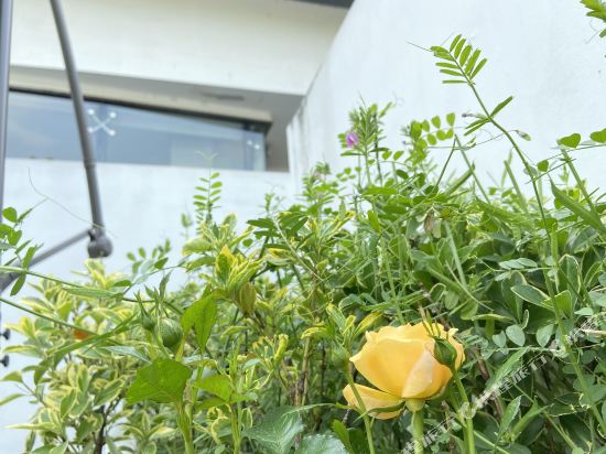 上海西郊云睿@酒店