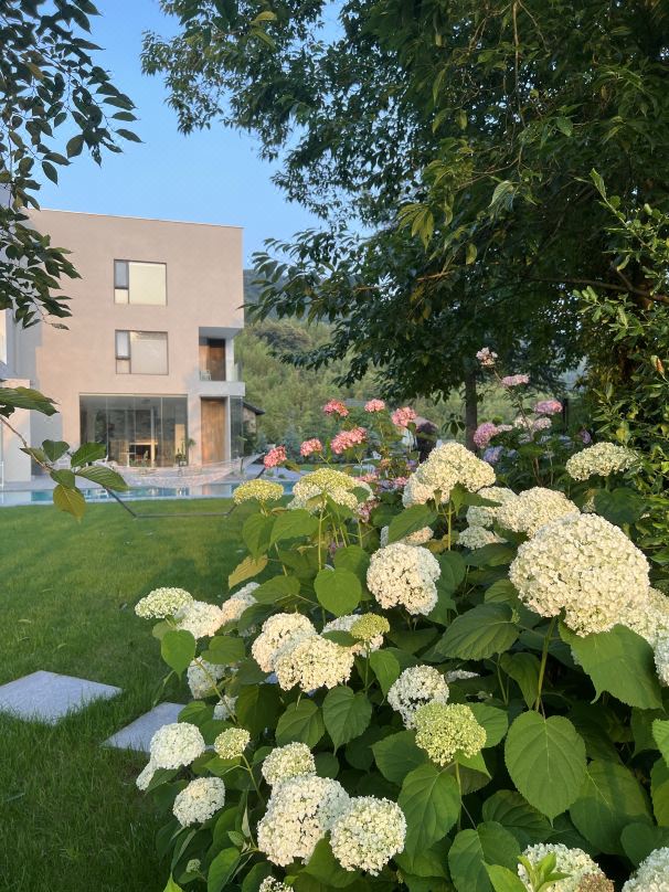 Ouji Hostel