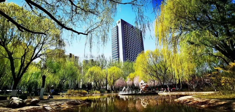 沧州金狮国际酒店-官方