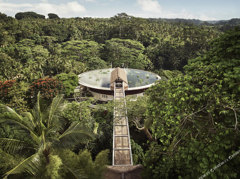 乌布酒店住宿-巴厘岛乌布四季度假村