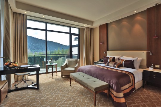 Borjomi Likani-官方