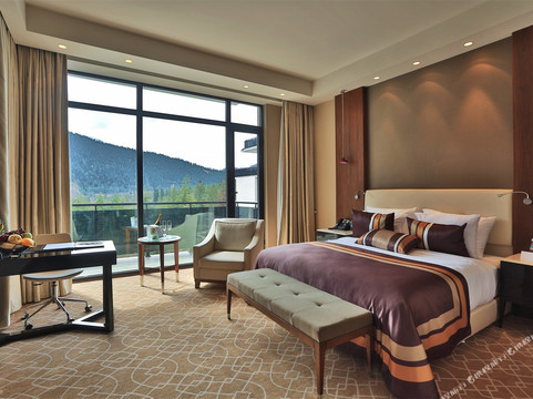 Borjomi酒店住宿-Borjomi Likani