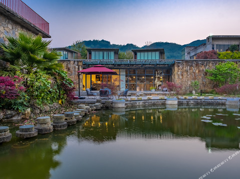 桃寨茶厂诺玛阿美庄园