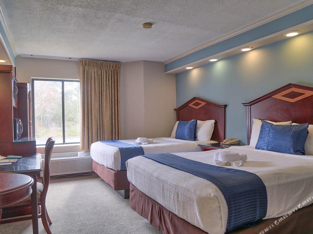 麦格特韦斯特德斯蒂尼棕榈酒店