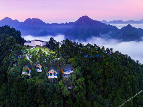 隐心谷树屋酒店