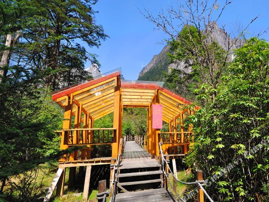 泸定燕子沟气泡酒店