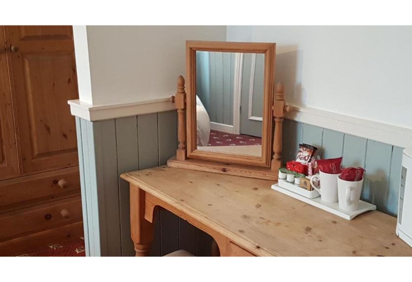 The Bug & Spider-官方