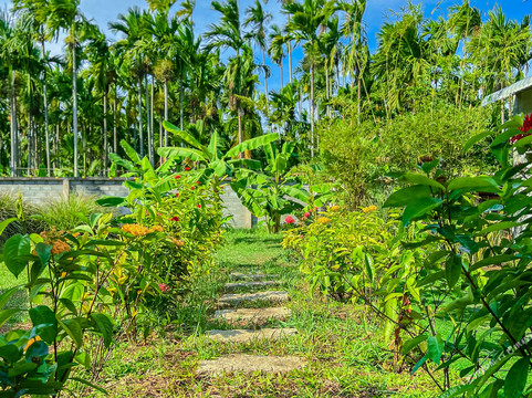 Areca Muine Homestay