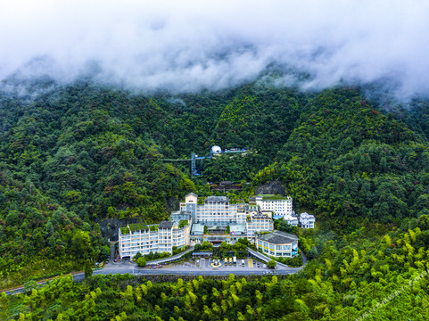 临武县酒店住宿-莽山森林温泉酒店