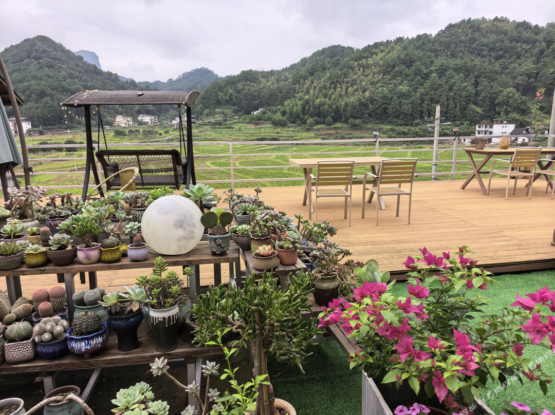 崀山八角寨稻田民宿