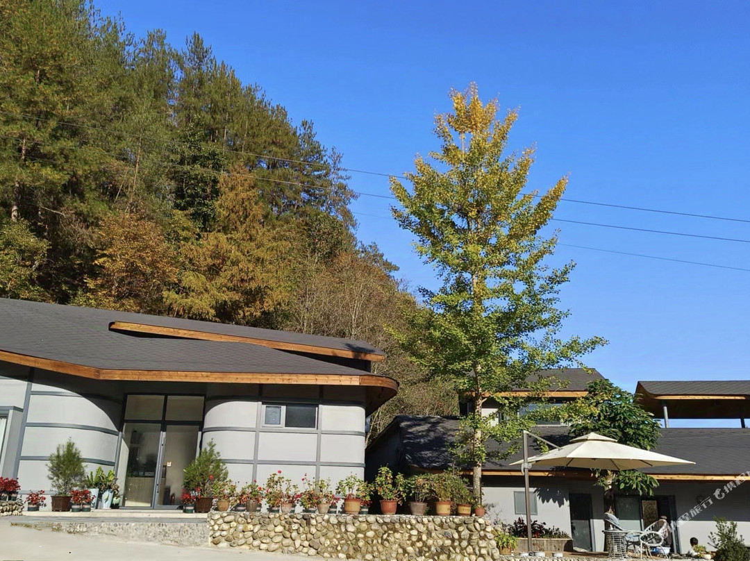 火烧店望星松间民宿