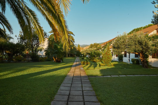 Nausicaa Villaggio-官方