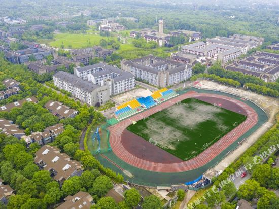 成都小丁丁度假别墅