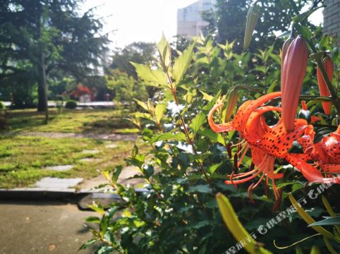 乳山银滩麋鹿美宿公寓