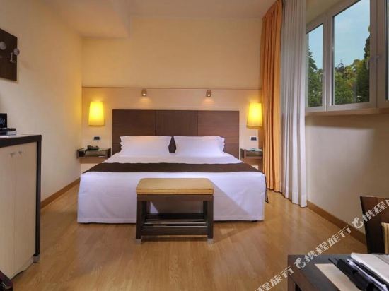Hotel Master Room Type - Room STANDARD