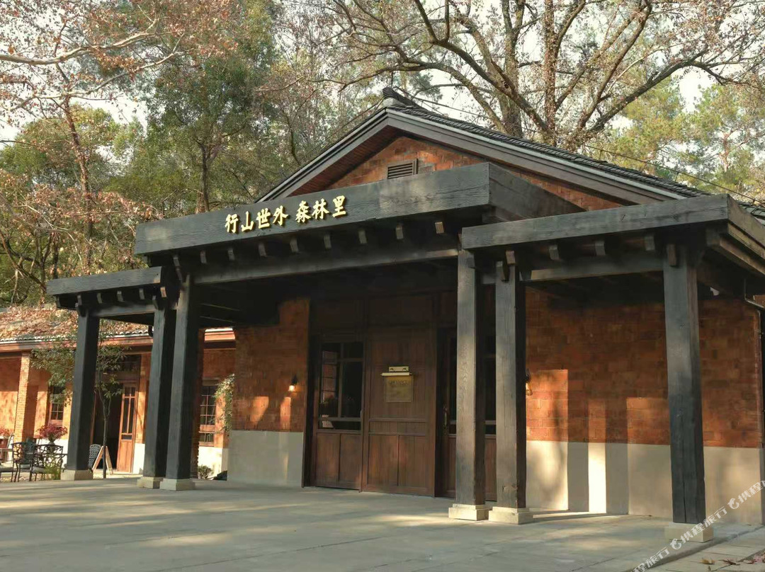 景德镇行山世外·森林里(中国陶瓷博物馆店)