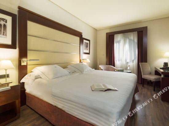 Hotel Badajoz Center Room Type - Superior King Room