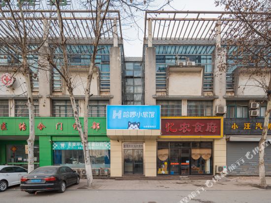 哈啰小旅馆(合肥紫葡萄店)