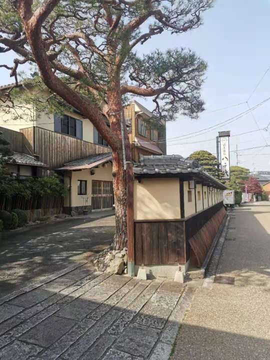 Kappo Ryokan Yachiyo-官方