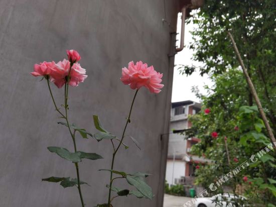 峨眉山鑫源酒店