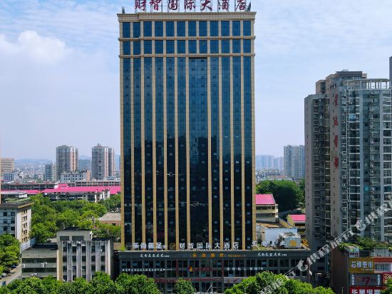 财智国际大酒店(娄底春园步行街店)