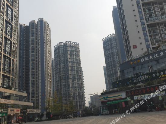 宜宾维姐公寓(5号店)