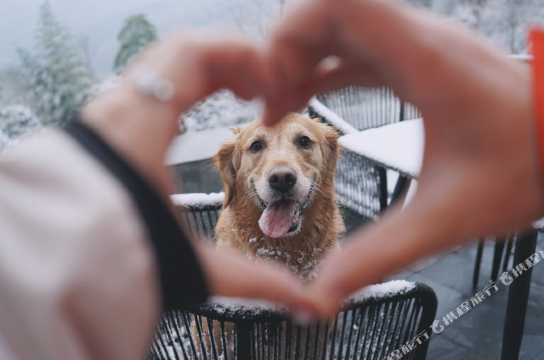 桐庐未迟 千山精品民宿点评 桐庐未迟 千山精品民宿怎么样 携程旅行 桐庐未迟 千山精品民宿点评 桐庐未迟 千山精品民宿怎么样 携程旅行