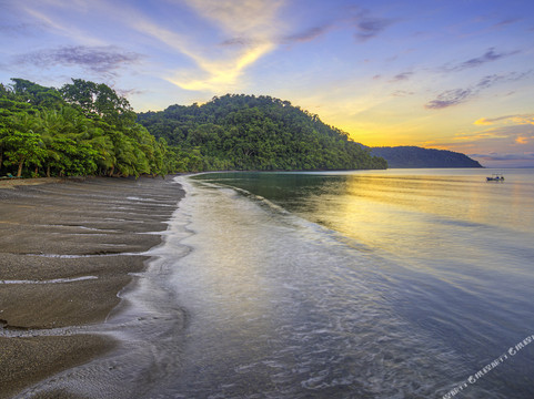 Osa Peninsula酒店住宿-普拉亚尼库伊萨雨林旅馆