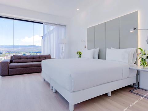 圣路易斯坡托西酒店住宿-NH San Luis Potosí