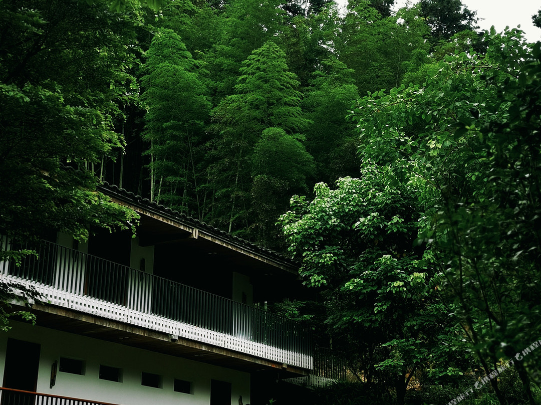 奢野·栖心谷度假山庄