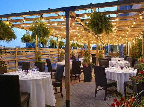 列治文山酒店住宿-喜来登北多伦多公园大道酒店