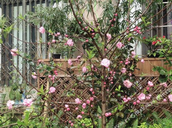 宜宾代先生/青年城幽雅风情屋公寓