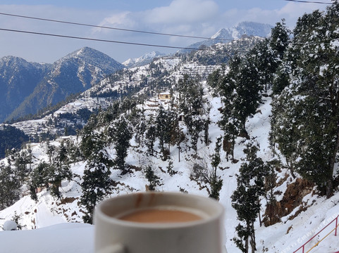 Kanatal酒店住宿-Dev Bhoomi Camping Resort