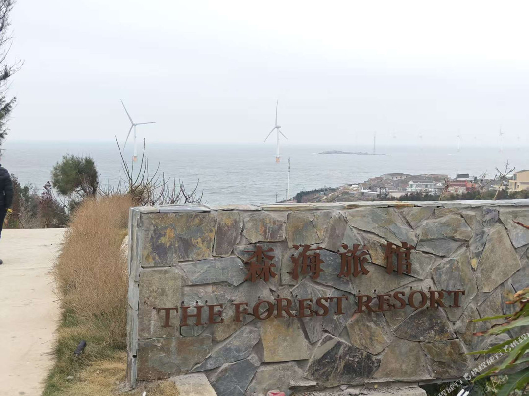 The Forest Resort 森海旅馆