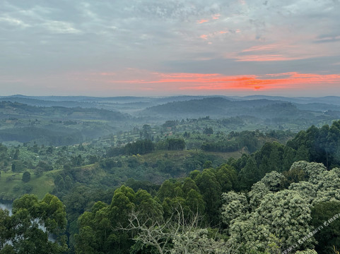 Top of the World Lodges Fort Portal