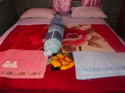 哈利漫步旅馆-官方