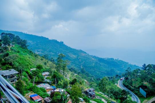 奥林巴斯广场酒店-官方
