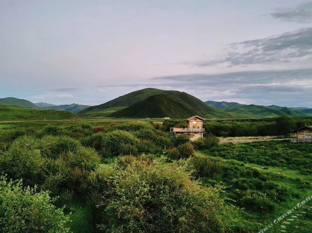夏河桑青营地