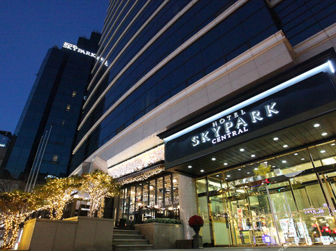 天空花园酒店明洞中心店主图