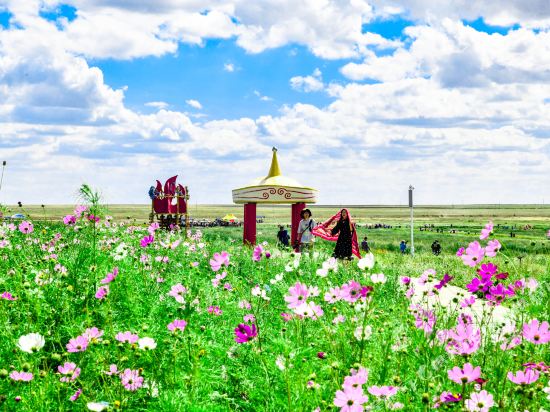 鄂尔多斯草原蒙古包