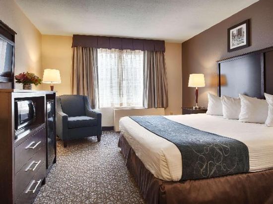 Best Western Gregory Hotel Room Type - King Room - Non-Smoking